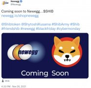 零售巨型Newegg确认Shiba Inu'即将推出'，因为AMC剧院